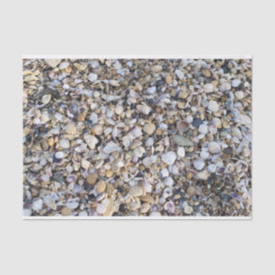 Seashells Tissuepapier