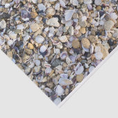 Seashells Tissuepapier (Detail)