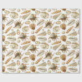 Seashells van de Seashore Cadeaupapier (Vlak)