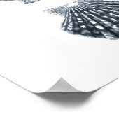 Seashells Vie marine Group12A print#4 décoration d (Coin)