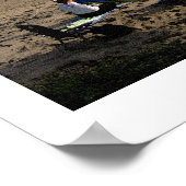 Seashore à l'automne 24 x 16 poster (Coin)