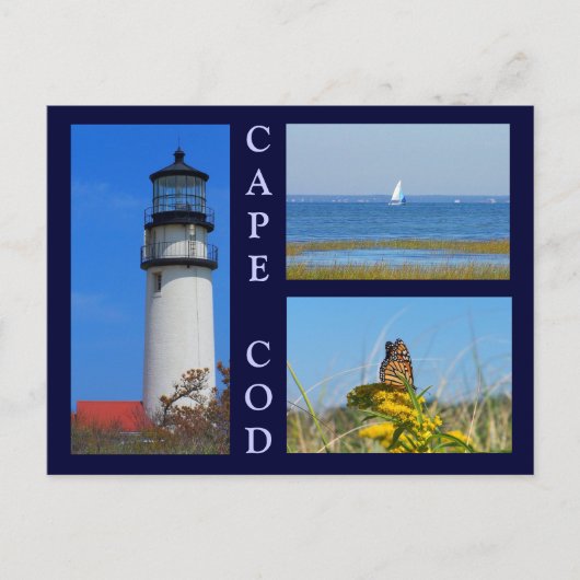 Seashore Scenes Briefkaart (Voorkant)