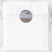 Seashore Stickers (Tas)