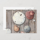 Seashore Treasures Briefkaart (Voorkant / Achterkant)