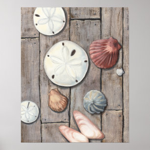 Seashore Treasures Poster