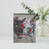 Seaside Donkeys Post Card Briefkaart (Staand voorkant)