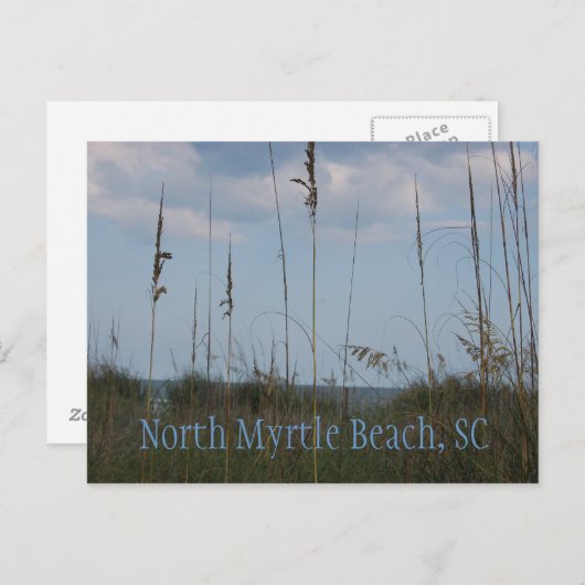 Seaside Dreams - North Myrtle Beach, SC Briefkaart (Voorkant / Achterkant)
