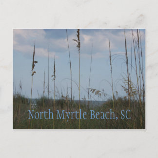 Seaside Dreams - North Myrtle Beach, SC Briefkaart