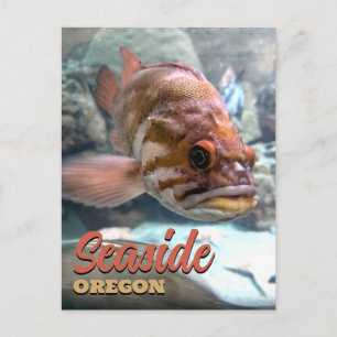 Seaside, Oregon Rockfish Briefkaart