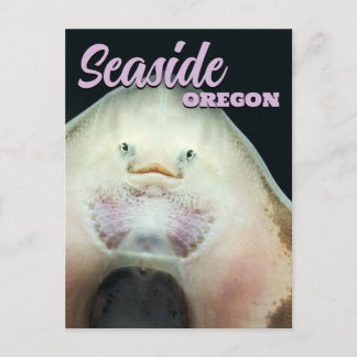 Seaside, Oregon Schaats Dier Briefkaart