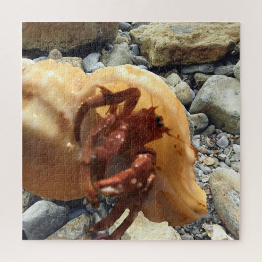 Seaside Rocks met Hermit Crab Legpuzzel (Verticaal)