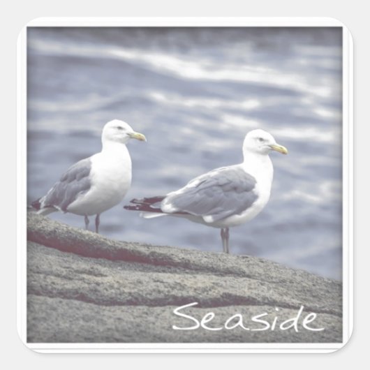Seaside Seagulls Sticker (Voorkant)