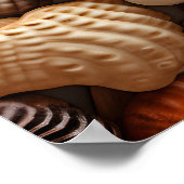 Seaside Seashells Art Poster (Hoek)
