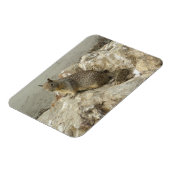 Seaside Squirrel Funny Creature Fotokunst Magneet (Linkerzijde)