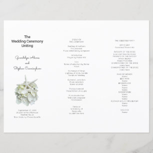 Seaside White Hydrangea n Starfish Programme de ma