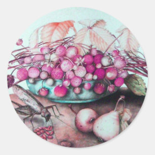 SEASON'S FRUITS/STRAWBERRIA EN PEARS RONDE STICKER