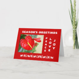 Season's Greetings Christmas Card Feestdagen Kaart