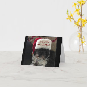 *SEASONS GREETINGS* OVER DE MELKARD KAART