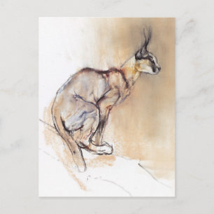 Seated Caracal 2009 Briefkaart