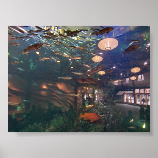Seattle Aquarium Poster (Voorkant)