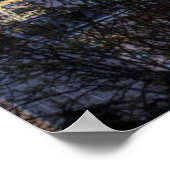 Seattle, Downtown en Mt. Rainier in Twilight Poster (Hoek)