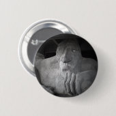 Seattle Fremont Troll Button (Voorkant /achterkant)