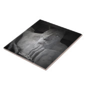 Seattle Fremont Troll Foto Tile Tegeltje (Zijkant)