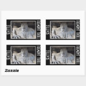 Seattle Fremont Troll Sticker (Vel)