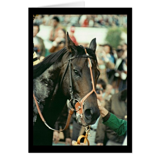 Seattle Slew Thoroughbred 1978 (Voorkant)