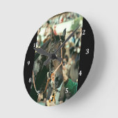 Seattle Slew Thoroughbred 1978 Ronde Klok (Hoek)