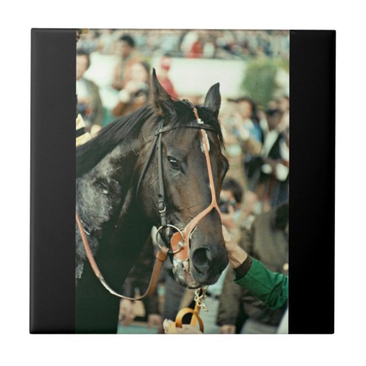 Seattle Slew Thoroughbred 1978 Tegeltje (Voorkant)