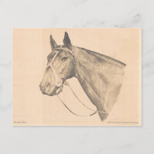 Seattle Slew van Susan Pelisek Kolberg Briefkaart
