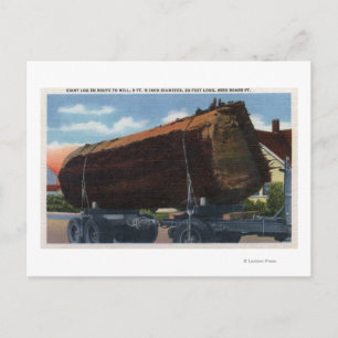Seattle, Washington Giant Log en route naar Mill Briefkaart