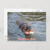 Seattle Zoo Briefkaart (Voorkant / Achterkant)