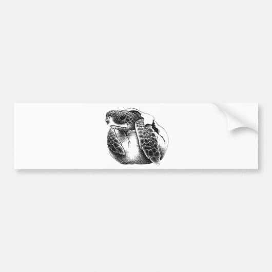 SeaTurtle-1 Bumpersticker (Voorkant)