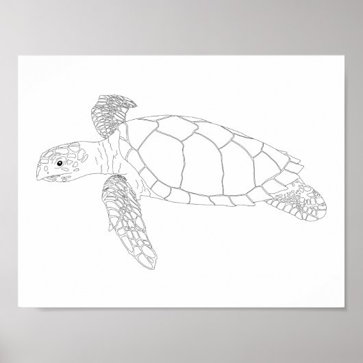 Seaturtle Adult Coloring Poster (Voorkant)