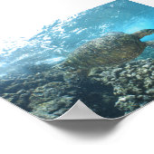 Seaturtle op de Shorebreak Poster (Hoek)