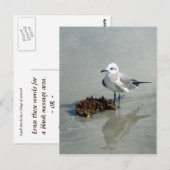 Seaweed Briefkaart (Voorkant / Achterkant)