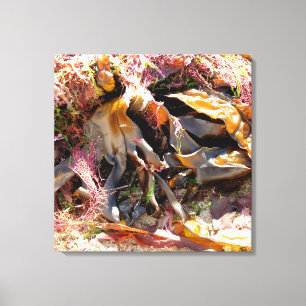 SEAWEED CANVAS AFDRUK