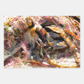 SEAWEED INPAKPAPIER VEL (Voorkant 2)