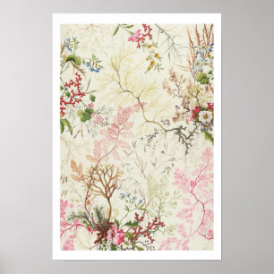 Seaweed-ontwerp voor zijde (m/v op papier) poster