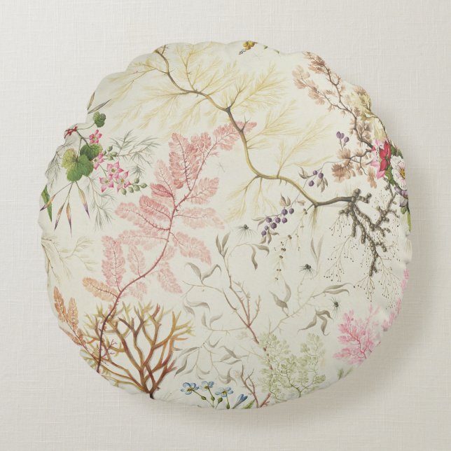 Seaweed-ontwerp voor zijde (m/v op papier) rond kussen (Voorkant)