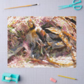 SEAWEED TISSUEPAPIER (Craft)