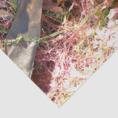 SEAWEED TISSUEPAPIER (Detail)