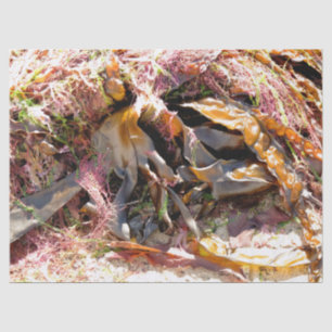 SEAWEED TISSUEPAPIER