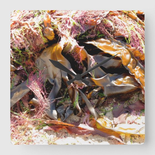 SEAWEED VIERKANTE KLOK (Voorkant)