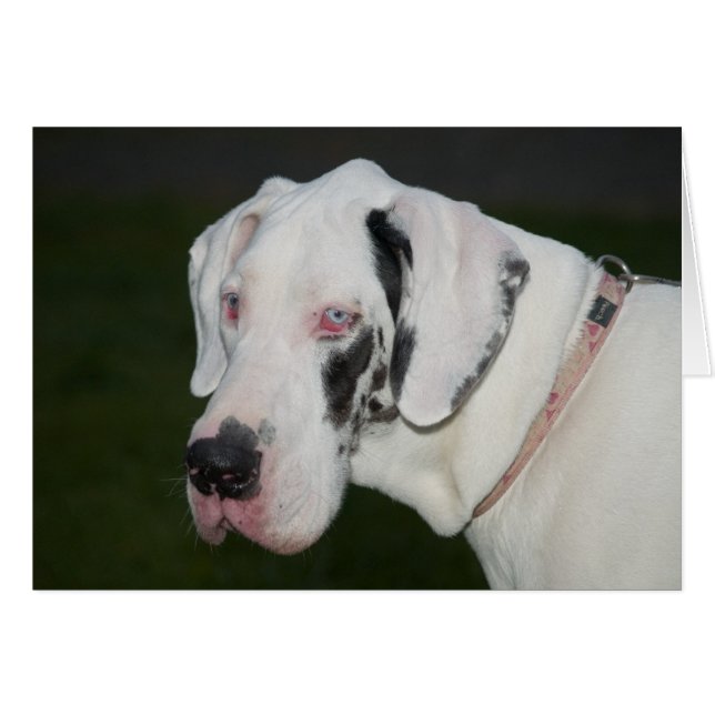 Sebastian (Voorkant Horizontaal)