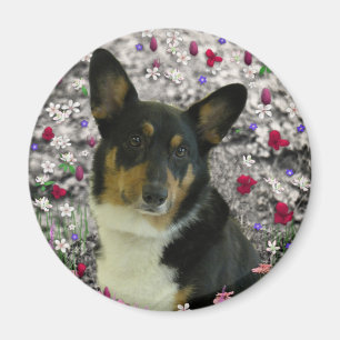 Sebastian the Welsh Corgi in Flowers Magneet