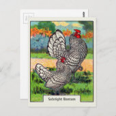 Sebright Bantam Chicken Briefkaart (Voorkant / Achterkant)