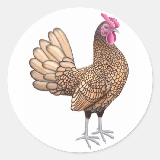 Sebright Bantam Rooster Ronde Sticker (Voorkant)
